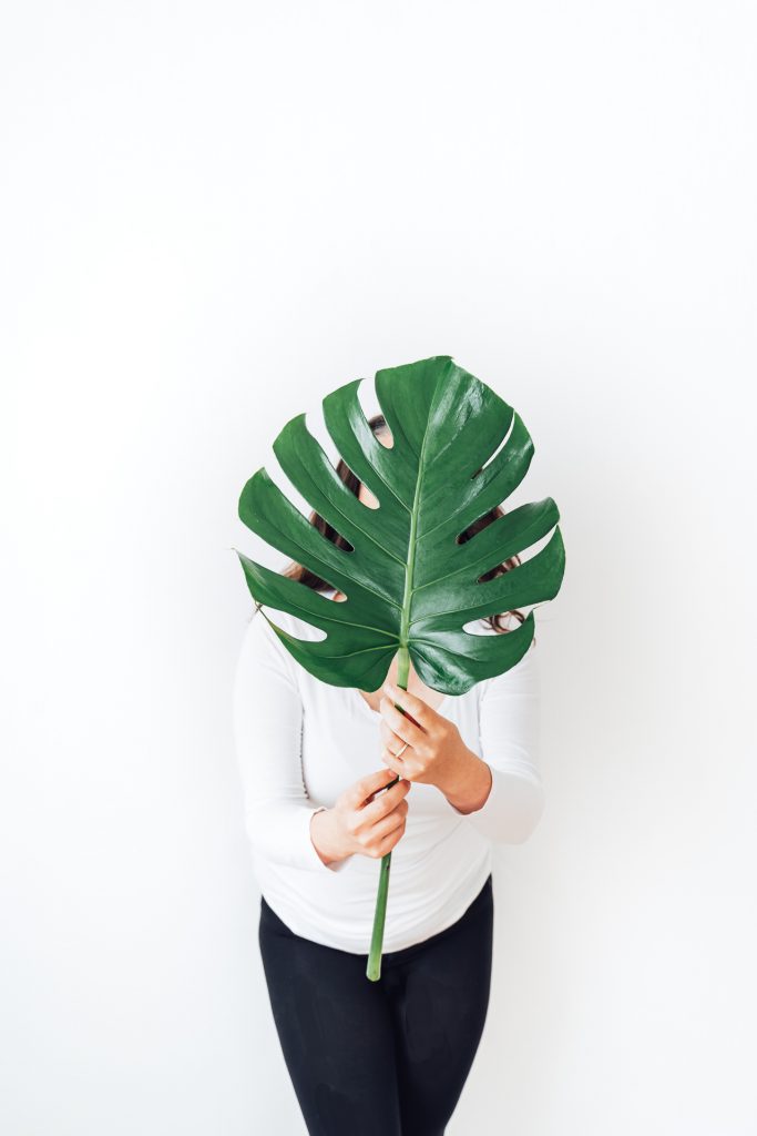 monstera grüne pflanze Selbstportrait ohne Gesicht