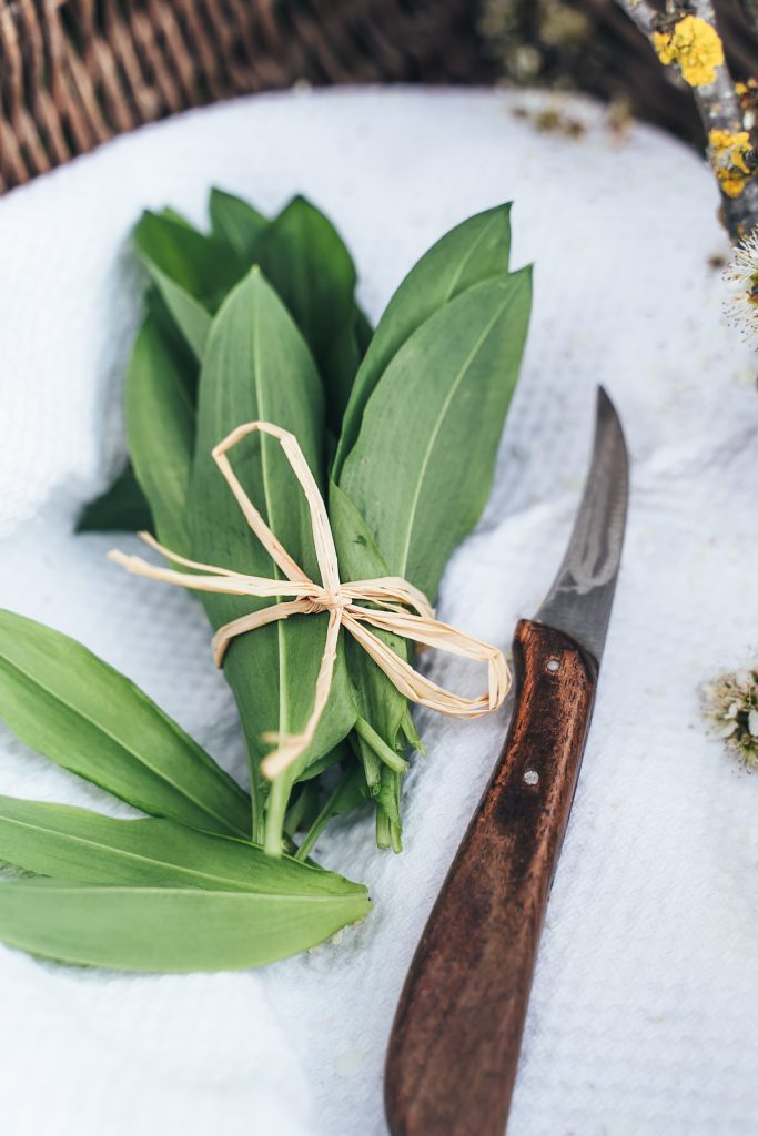 food bärlauch pasta homemade Fotografie