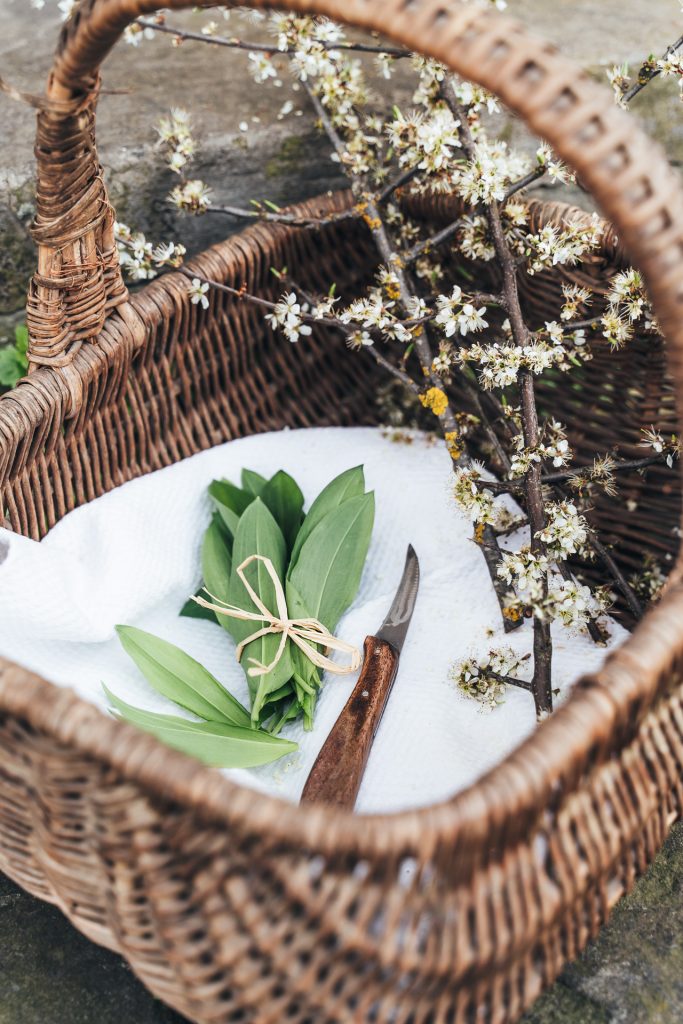 food bärlauch pasta homemade Fotografie
