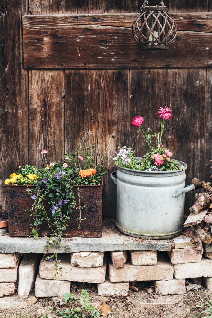 food bärlauch pasta homemade Fotografie Blumen