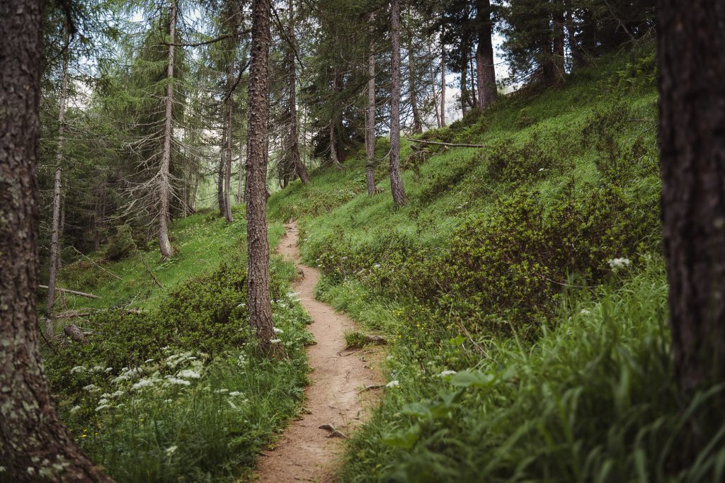 Elopement Hochzeit Dolomiten Paar