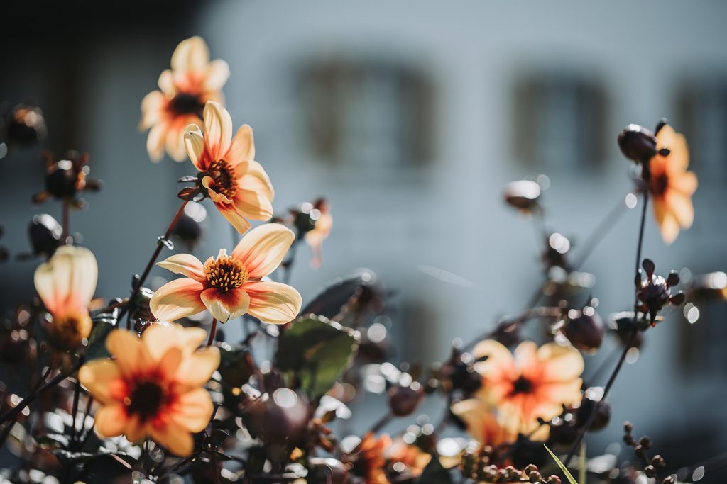 Schloss Zeil Bräutigam Brautpaar Braut Allgäu Hochzeit