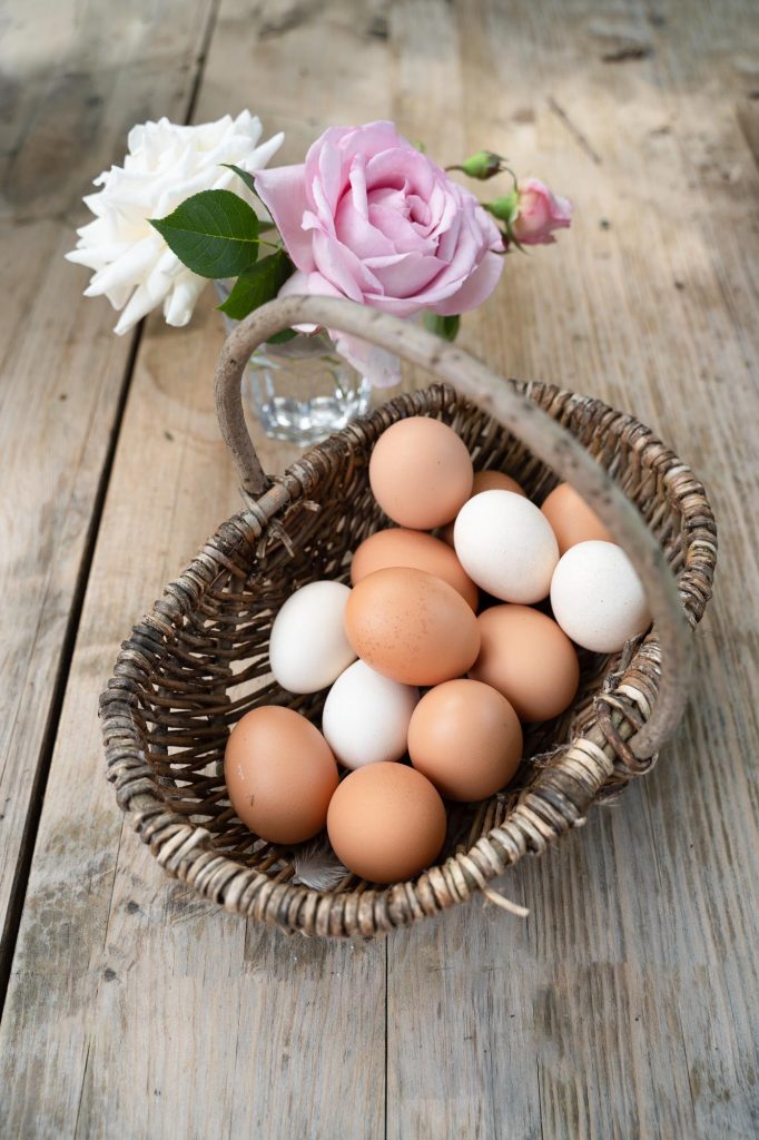 eier rosen portrait business