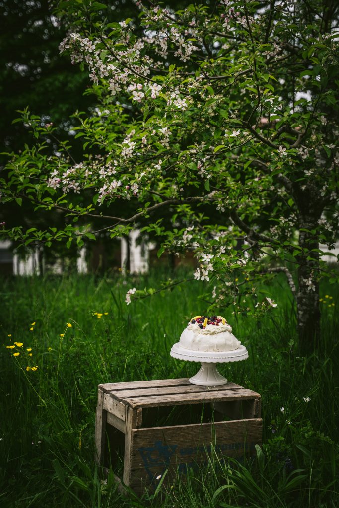 sommerliche Pavlova mit Früchten im Garten Food Fotografie granatapfel Apfelblüte blumen