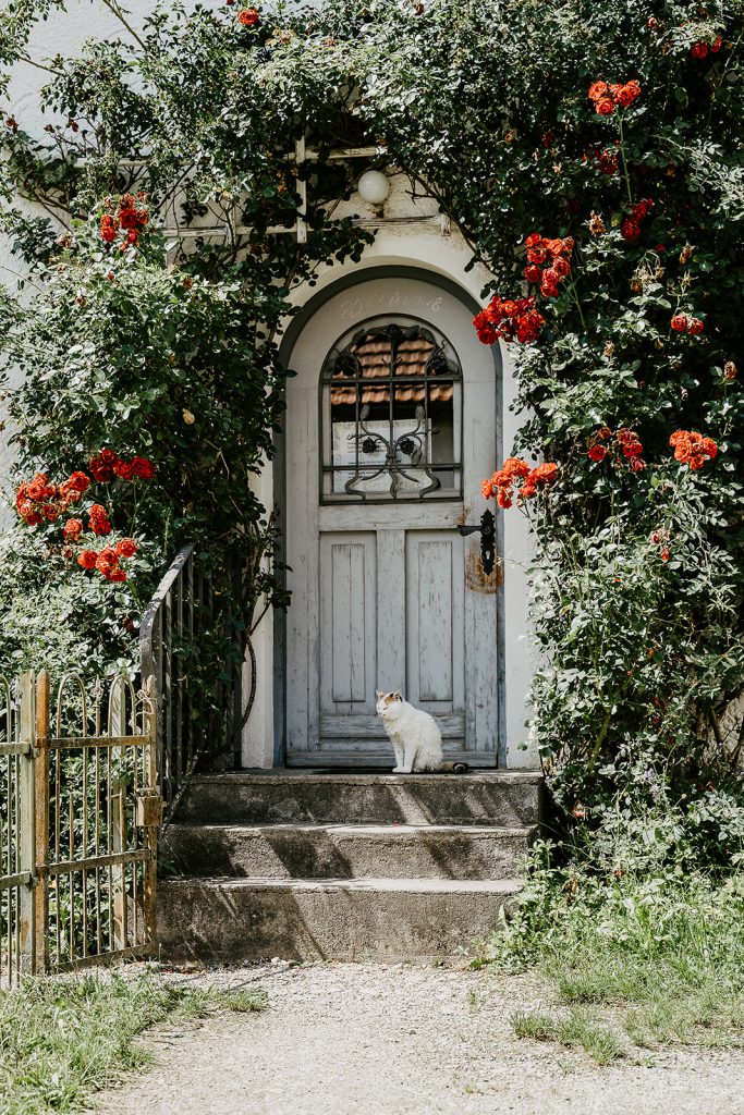 Hochzeit Unterallgäu Allgäu Brautpaar Brautstrauß Bauernhofmuseum Illerbeuren Gromerhof