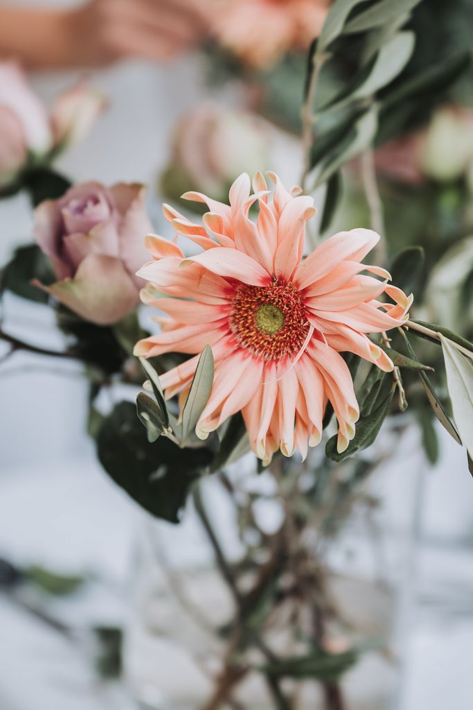 Blumen Floristin Business Branding Fotos