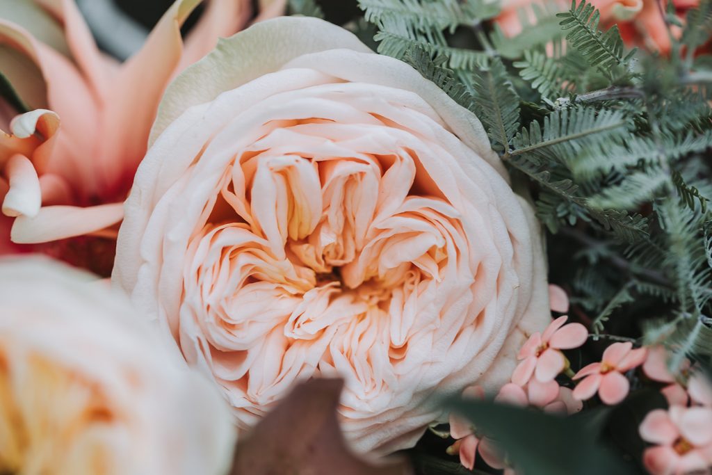 Blumen Floristin Business Branding Fotos