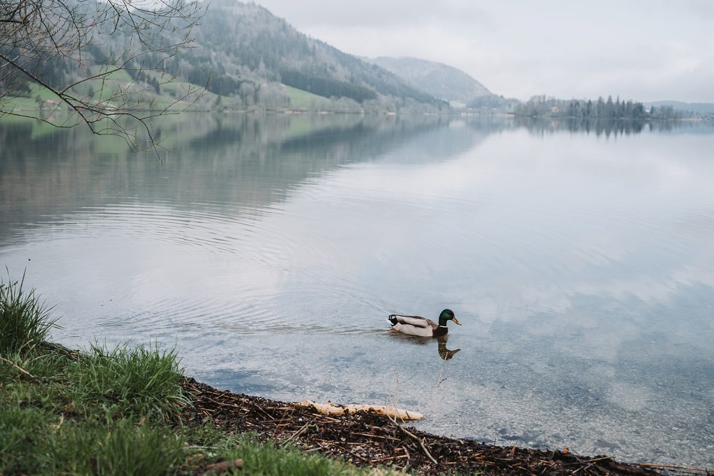 Hochzeit Schliersee Wasmeier Freilichtmuseum Hochzeitsfeier Brautpaar München